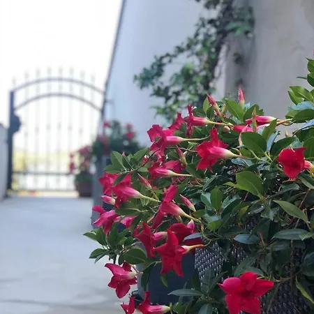 Appartement Slavica Šibenik